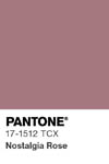 2056 pantone color chip 17 1512 tcx