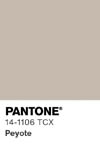 2061 pantone color chip 14 1106 tcx