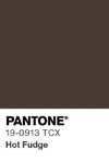 2066 pantone color chip 19 0913 tcx