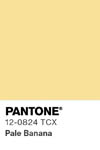 2068 pantone color chip 12 0824 tcx