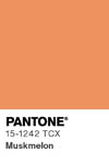 2072 pantone color chip 15 1242 tcx