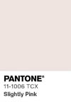 2074 pantone color chip 11 1006 tcx