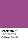 2078 pantone color chip 18 3223 tcx