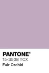 2081 pantone color chip 15 3508 tcx