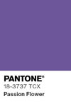 2083 pantone color chip 18 3737 tcx