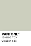 2091 pantone color chip 13 6105 tcx