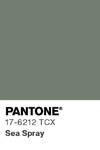 2093 pantone color chip 17 6212 tcx