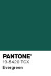 2098 pantone color chip 19 5420 tcx