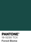 2100 pantone color chip 19 5230 tcx