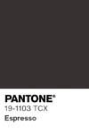 2107 pantone color chip 19 1103 tcx