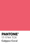 2108 pantone color chip 17 1744 tcx