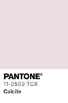 2112 pantone color chip 11 2509 tcx