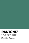 2114 pantone color chip 17 5722 tcx