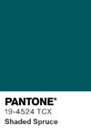 2115 pantone color chip 19 4524 tcx
