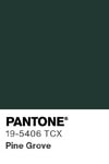 2116 pantone color chip 19 5406 tcx