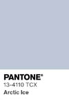 2120 pantone color chip 13 4110 tcx