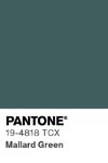 16253 pantone color chip 19 4818 tcx
