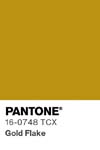 16561 pantone color chip 16 0748 tcx