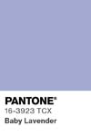 16563 pantone color chip 16 3923 tcx