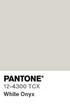 16569 pantone color chip 12 4300 tcx