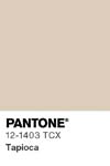 2410 pantone color chip 12 1403 tcx