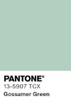 2419 pantone color chip 13 5907 tcx