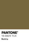 2423 pantone color chip 18 0825 tcx