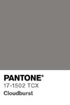 2427 pantone color chip 17 1502 tcx