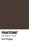 7005 pantone color chip 19 0913 tcx