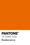 7008 pantone color chip 17 1349 tcx