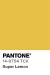 7009 pantone color chip 14 0754 tcx