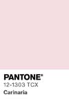 7011 pantone color chip 12 1303 tcx