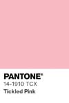 7012 pantone color chip 14 1910 tcx