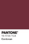 7019 pantone color chip 19 1726 tcx