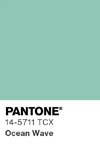 7020 pantone color chip 14 5711 tcx