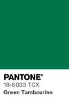 7022 pantone color chip 18 6033 tcx