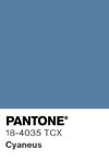 7025 pantone color chip 18 4035 tcx