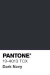 7028 pantone color chip 19 4013 tcx