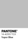 7029 pantone color chip 14 4203 tcx