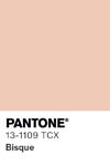 7061 pantone color chip 13 1109 tcx
