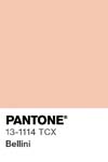 7062 pantone color chip 13 1114 tcx
