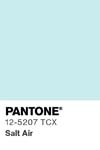 7068 pantone color chip 12 5207 tcx