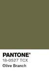 7073 pantone color chip 18 0527 tcx