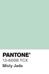 7075 pantone color chip 13 6008 tcx
