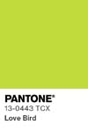7078 pantone color chip 13 0443 tcx