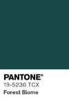 7080 pantone color chip 19 5230 tcx