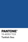 7084 pantone color chip 19 4053 tcx