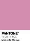 7089 pantone color chip 16 2614 tcx