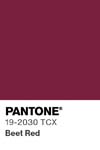 7098 pantone color chip 19 2030 tcx