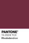 7099 pantone color chip 19 2024 tcx